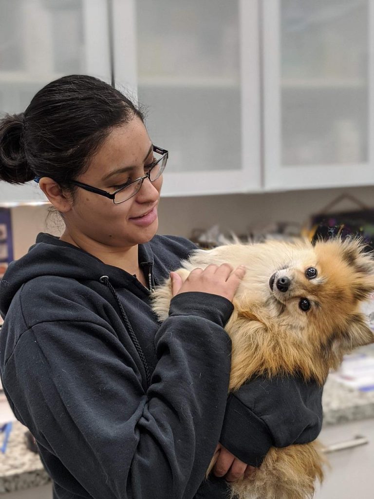 Interieur van een professionele dierenkliniek Rotterdam met medische apparatuur voor behandelingen van huisdieren